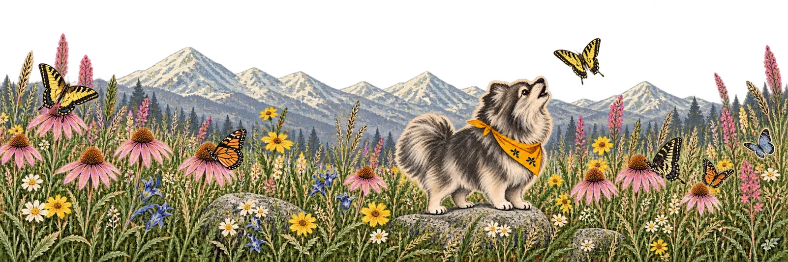 Sven standing on an alpine rock in a wide wildflower meadow as butterflies gather against distant mountains